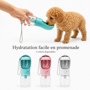 Gourde 2-en-1 pour Chien – Eau Fraîche & Friandises Toujours à Portée de Patte